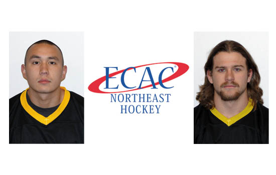 Senior forward Casey Shade and freshman forward Kevin Crowe were honored with weekly awards from the ECAC Northeast