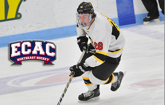 Domsodi Named Honorable Mention All-ECAC Northeast