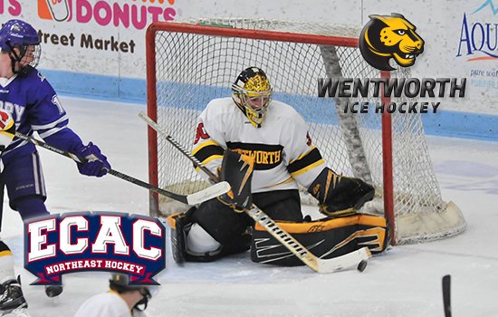 Hockey Tabbed for Sixth in Coaches' Poll
