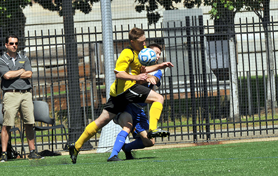 Men's Soccer Edged by Western New England