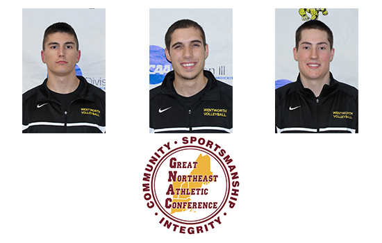 Three Men's Volleyball Players Named All-GNAC