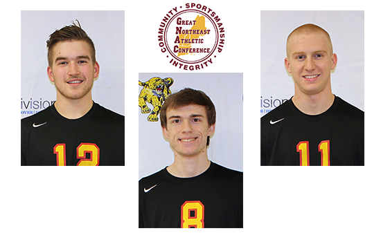 Men's Volleyball Sweeps Weekly Awards For Second Straight Week