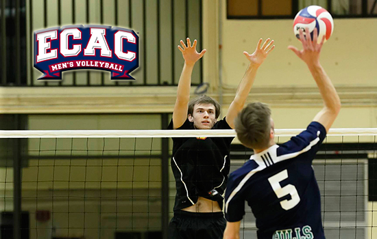 Potts Named ECAC Player of the Week