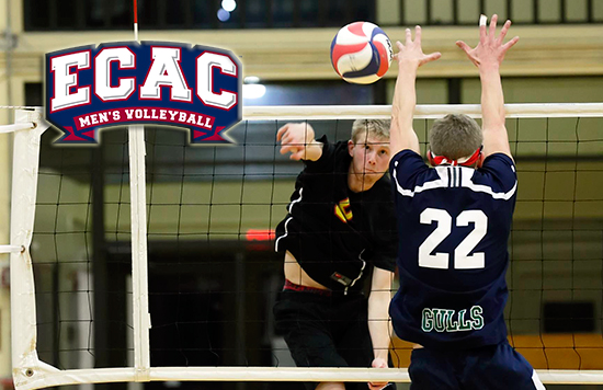 Reed Named ECAC North Region Player of the Week