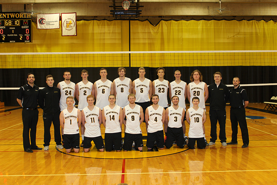 Men's Volleyball Takes Two Matches