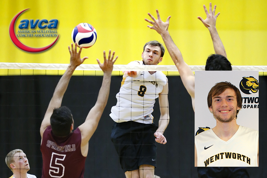Junior Alex Potts becomes the first men's volleyball player in program history to earn All-America honors
