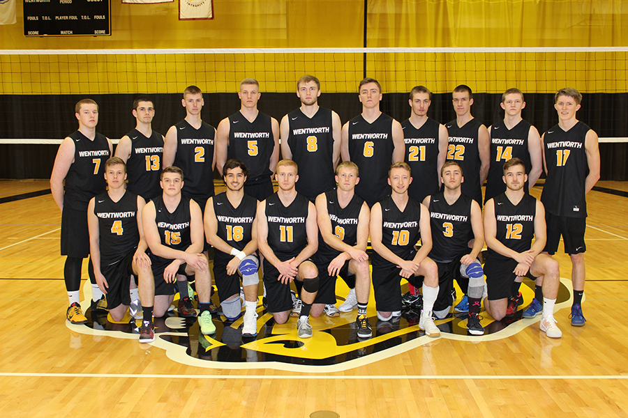 Men's Volleyball Oulasted by New Paltz in NCAA Semifinals