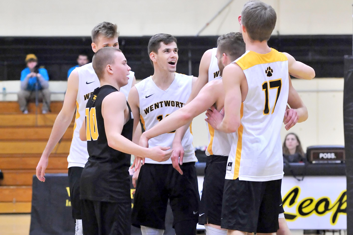 Men's Volleyball Wins Opening Matches of Alvernia Invitational