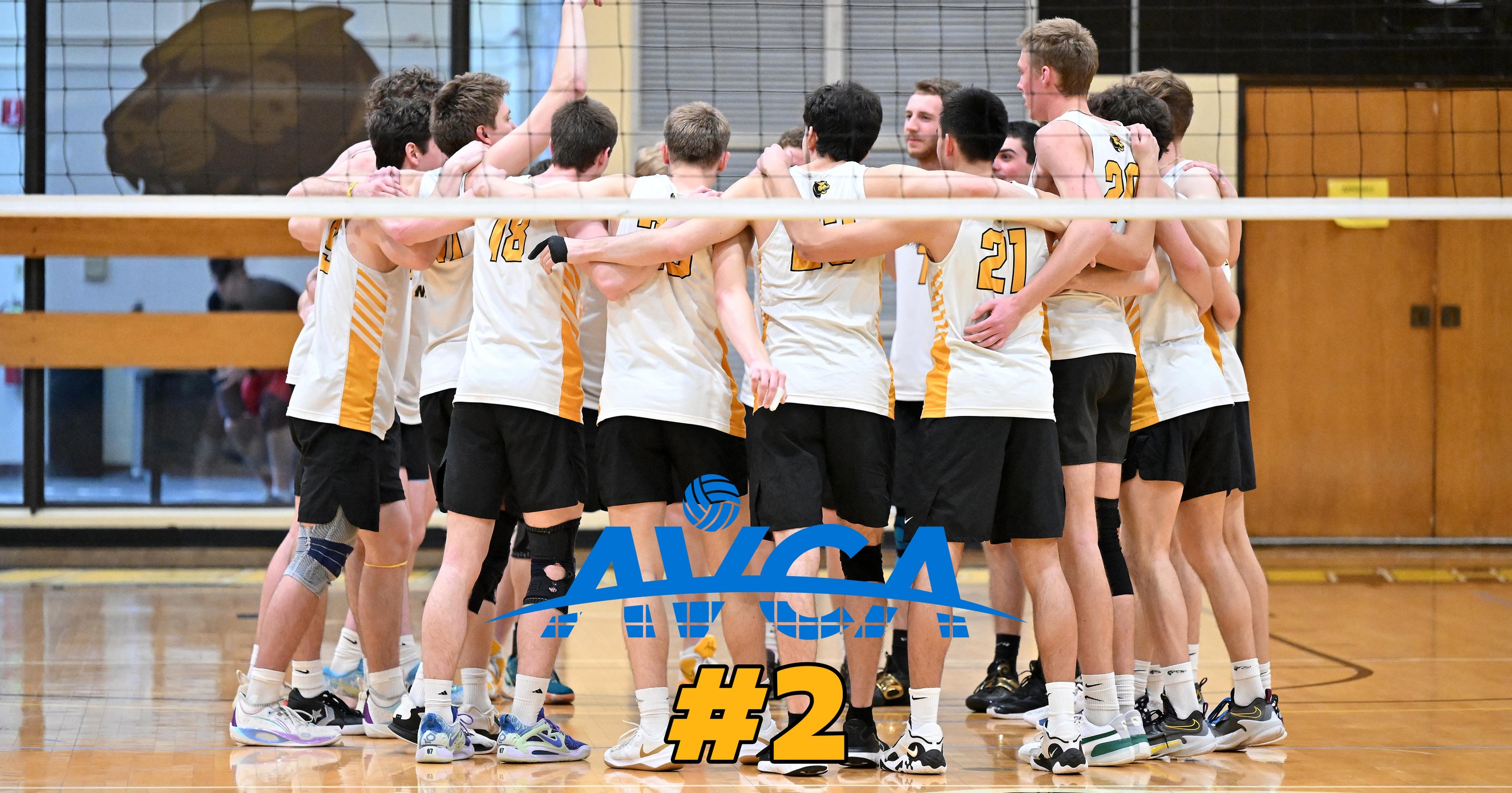 Nationally Ranked Men’s Volleyball Receives Highest-Ever Ranking in AVCA Poll