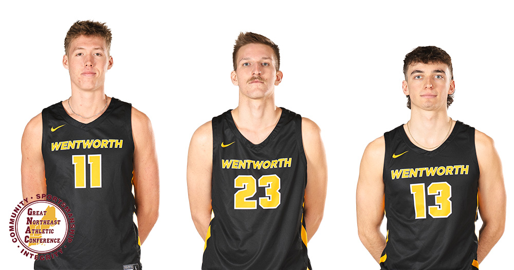 Three from Men's Volleyball Earn GNAC Weekly Awards