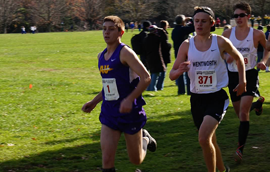 Men's Cross Country Finishes Eighth at ECAC Championships