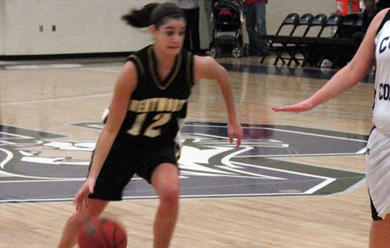Women's Basketball Falls at Curry, 71-53