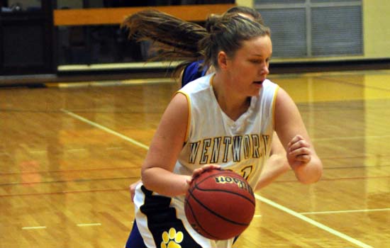 Women's Basketball Falls to Western New England