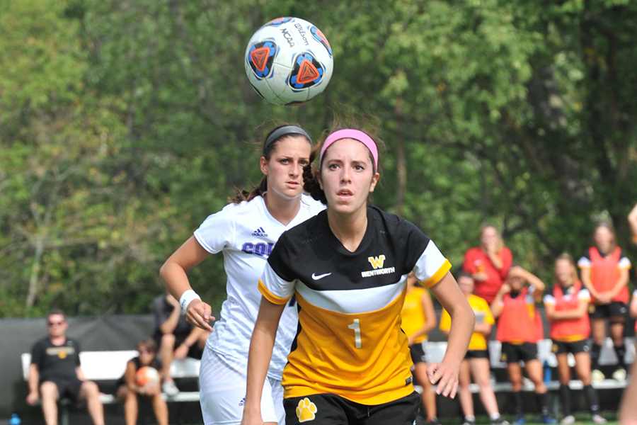 Women's Soccer Blanks Western New England in CCC Tournament