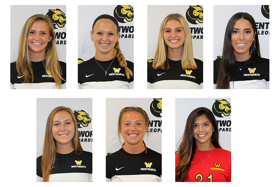Seven Wentworth women's soccer players were recognized by the CCC, including offensive player of the year Emily Richard, defensive player of the year Mary Pastorelli, and rookie of the year Sidney Brogan