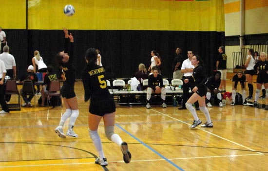 Women's Volleyball Falls Twice at Rivier