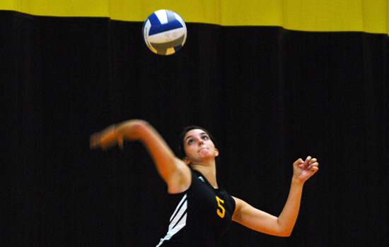 Women's Volleyball Falls Short Against UNE