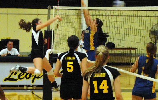 Women's Volleyball Records Pair of Wins