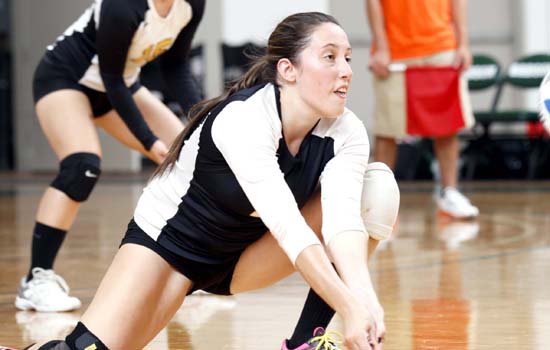 Women's Volleyball Comes up Short Against Western New England