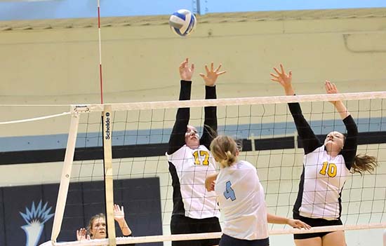 Women's Volleyball Drops Two Matches