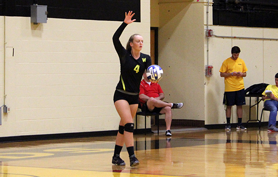 Women's Volleyball Edged by Curry