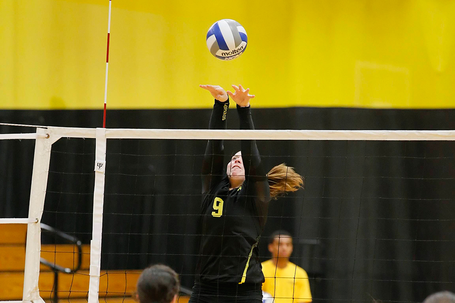 Women's Volleyball Rallies Past Simmons