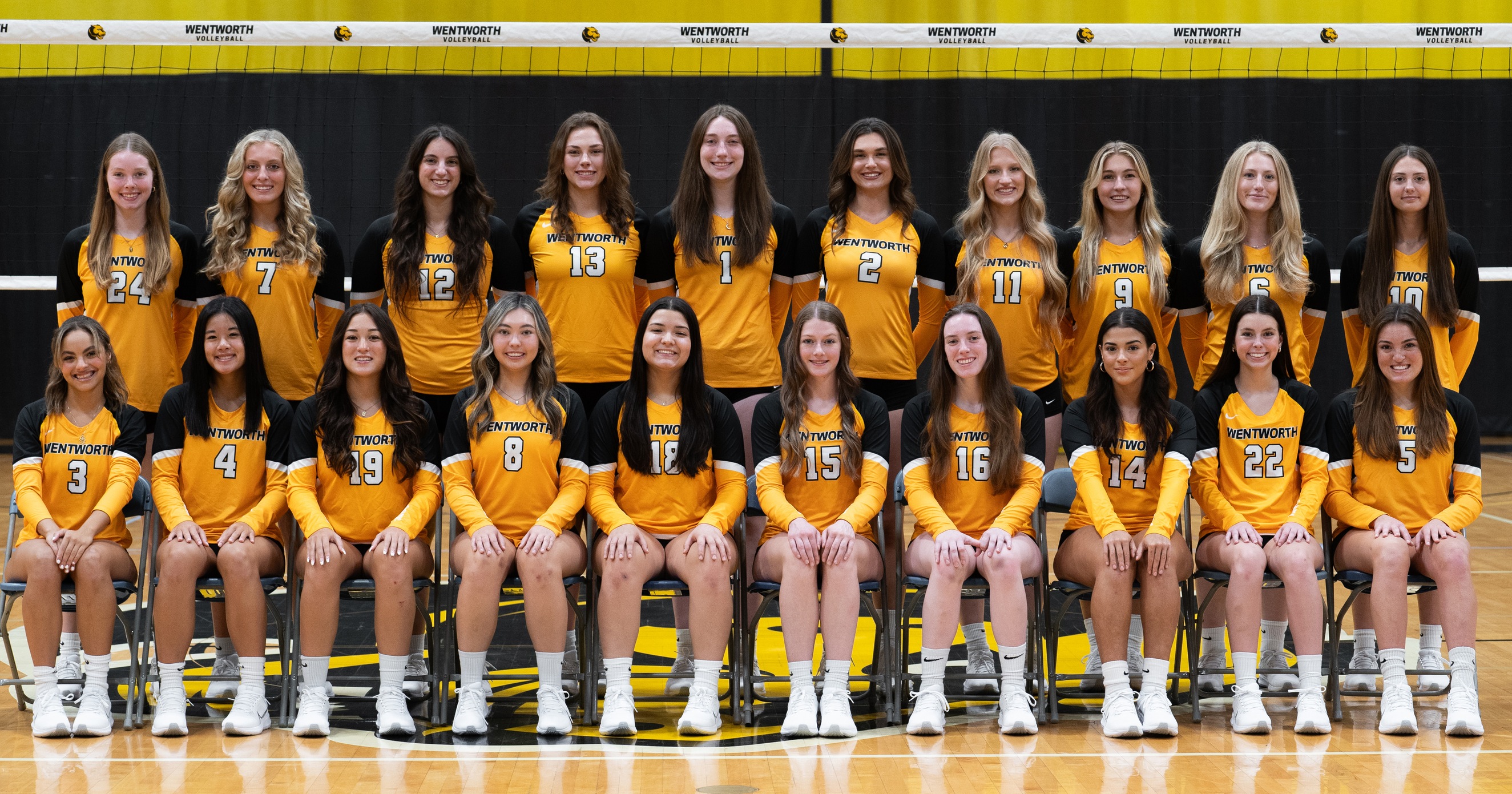 Tremendous Run for Women's Volleyball Ends Against Springfield