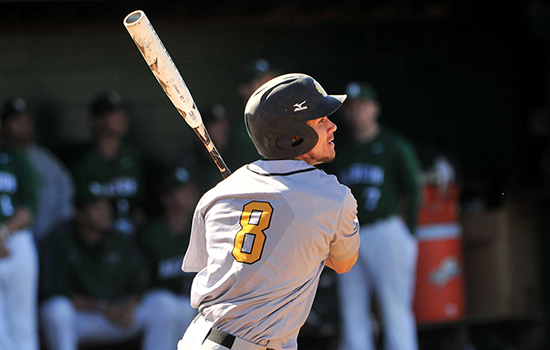 Baseball Splits With Fitchburg State
