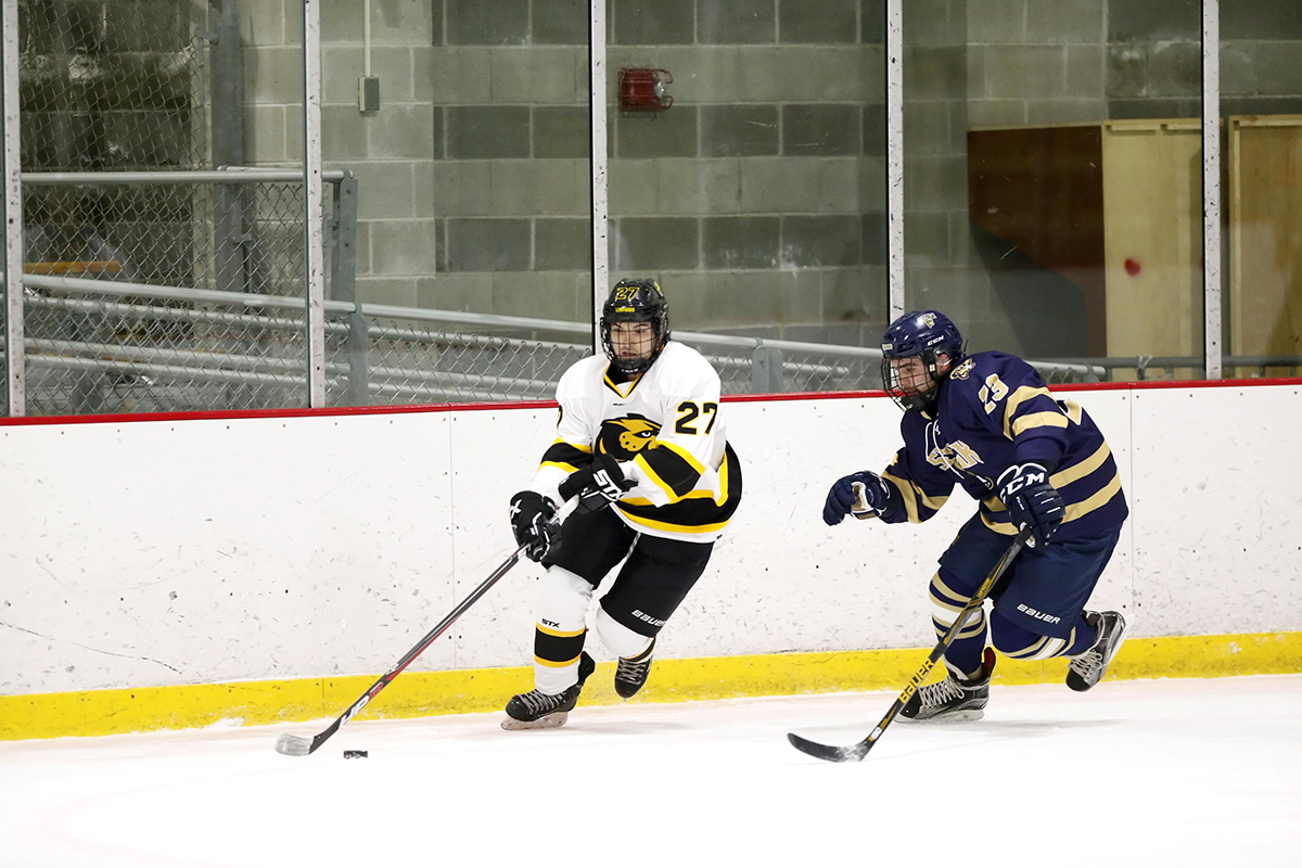 Rookies Help Hockey Edge Saint Anselm