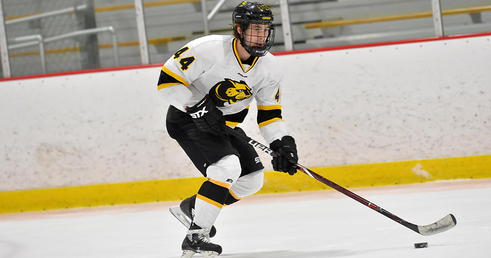 Hockey Battles Back to Defeat Fitchburg State