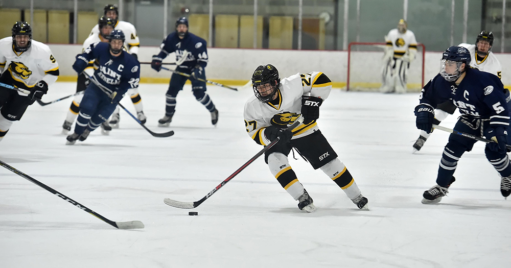 Nor'Easters Storm Past Hockey