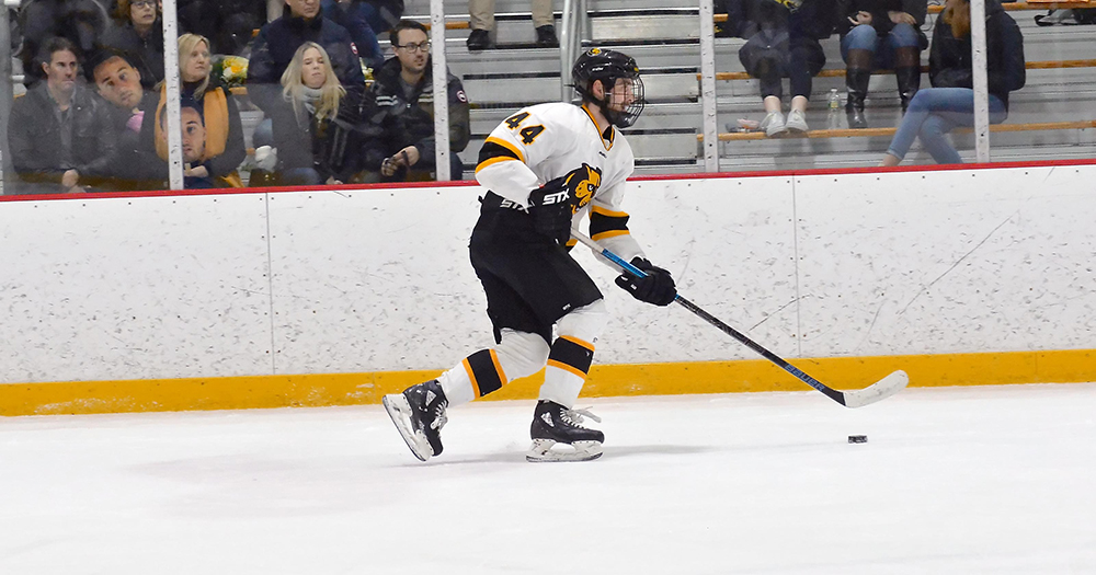 Four-Goal Second Period Leads Hockey Past Western New England
