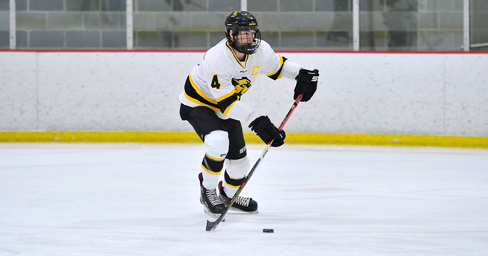 Three-Goal Second Period Helps Endicott Skate Past Hockey