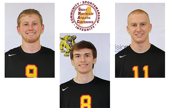 Men's Volleyball Sweeps Weekly Awards