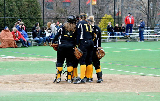 Softball Bats Fall Silent in Losses to Western New England