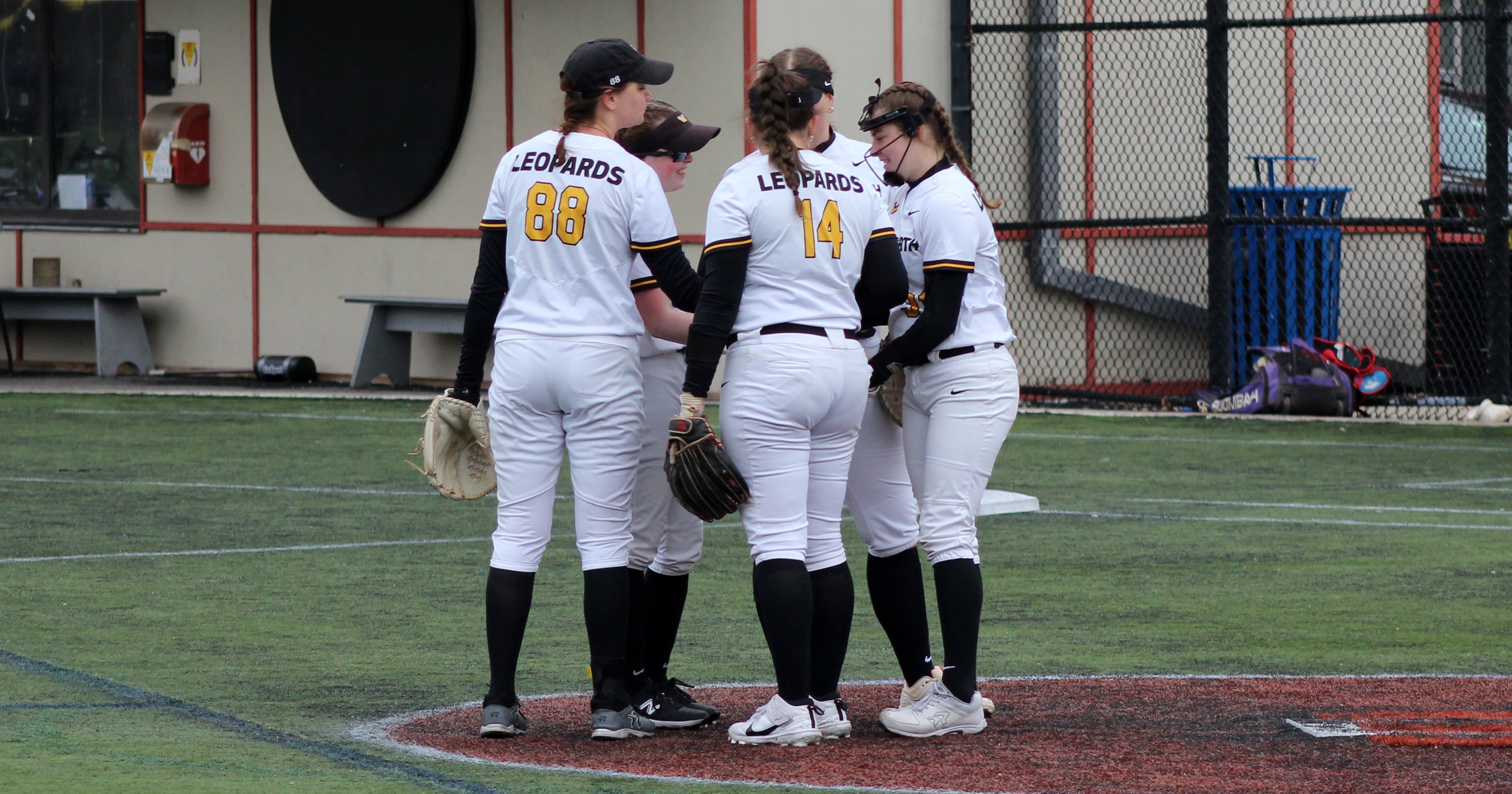 Softball Splits with Endicott in Pair of Conference Classics