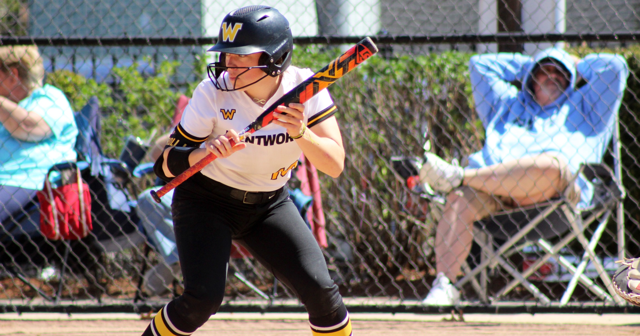 Softball Opens CCC Tournament with Triumphs over Roger Williams, Endicott