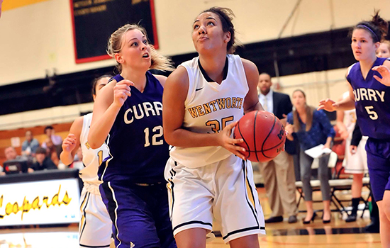 Hot Shooting Pushes Western New England Past Women's Basketball