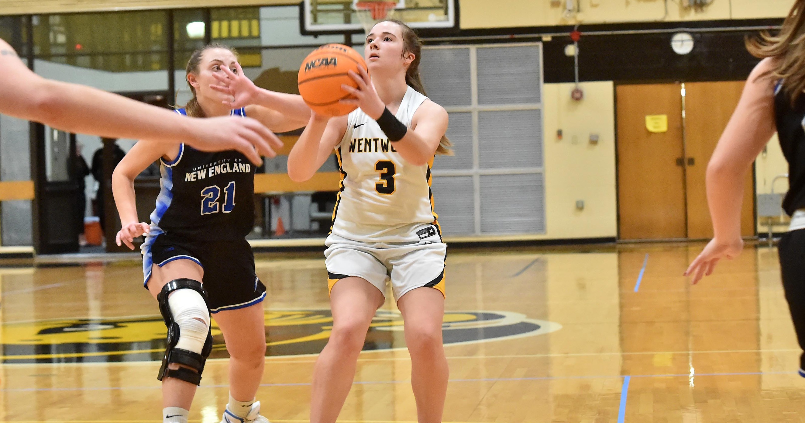 Women's Basketball Falls to Western New England