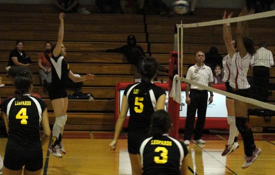 Lions Tame Leopards in Three Sets