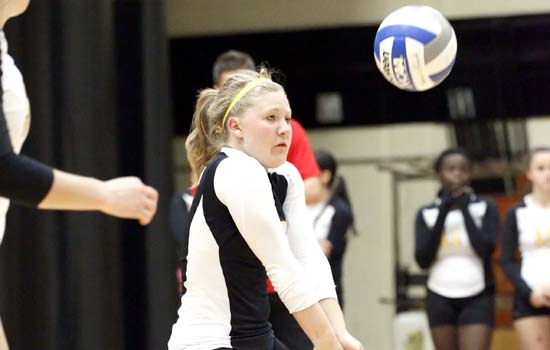 Women's Volleyball Defeated by Endicott