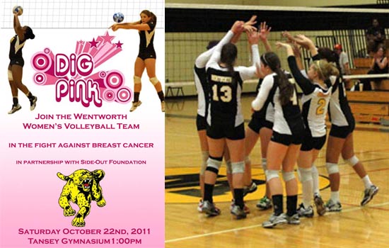 Women's Volleyball to Help Raise Breast Cancer Awareness