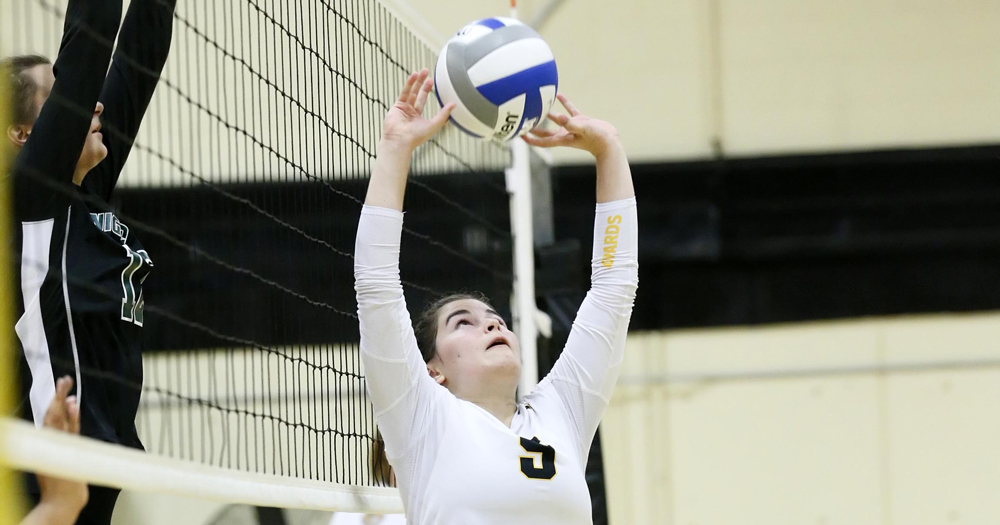 Women's Volleyball Outmatches Lasell 3-2
