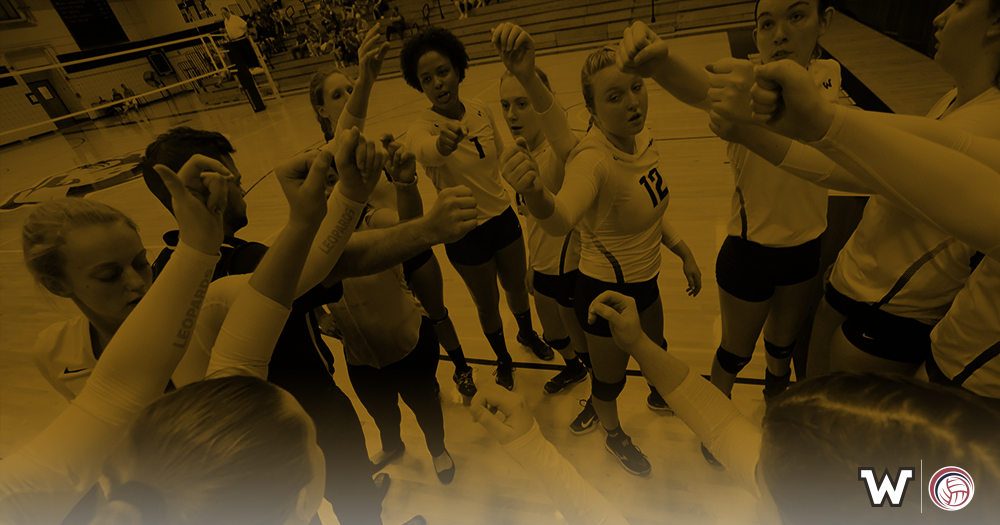 Women's Volleyball Ranked Fourth in CCC Preseason Poll